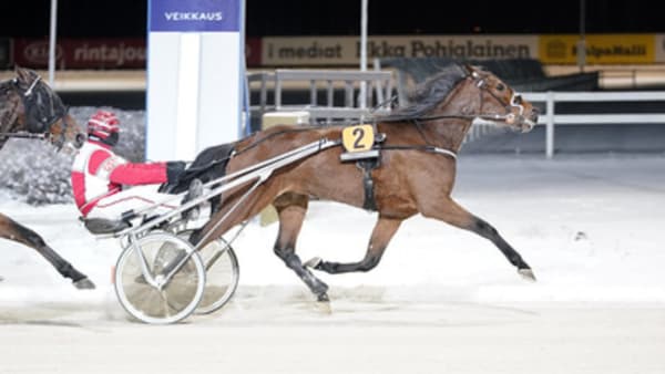 Foto: KIRSI KANTOKOSKI/SUOMEN HIPPOS