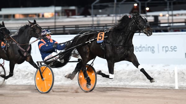 Foto: MALIN ALBINSSON / TR BILD