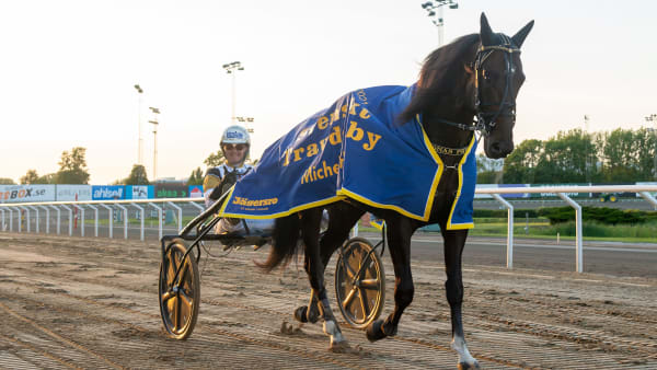 Foto: MIKAEL ROSENQUIST / TR BILD