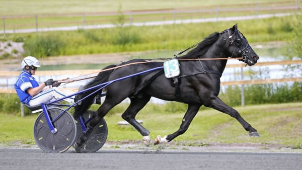 Foto: MARIA HOLMÉN / TR BILD