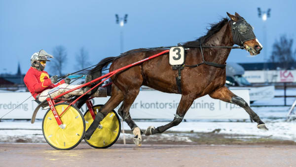 Foto: LENA EMMOTH / TR BILD