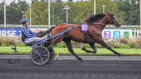 Foto: BRUNO VANDEVELDE/ LE TROT