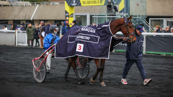 Foto: BRUNO VANDEVELDE/LE TROT