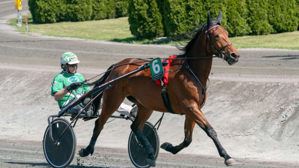 Foto: THOMAS BLOMQVIST / TR BILD