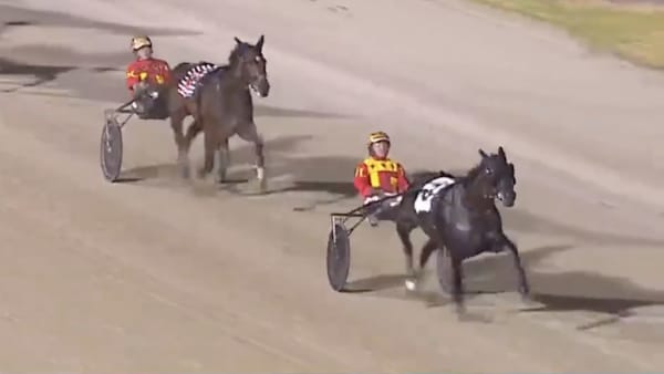 Keayang Zahara var överlägsen från ledningen i finalen av Great Southern Star.