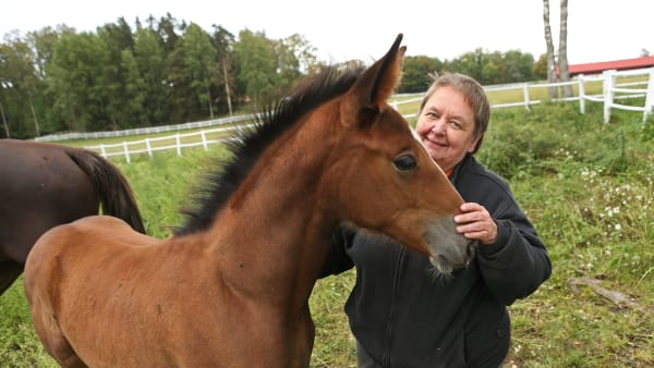 Foto: MARIA HOLMÉN / TR BILD
