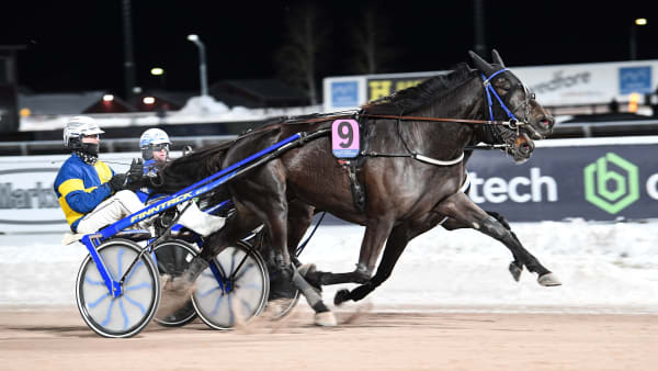 Foto: MALIN ALBINSSON / TR BILD