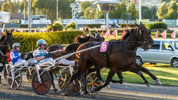 Foto: LENA EMMOTH / TR BILD