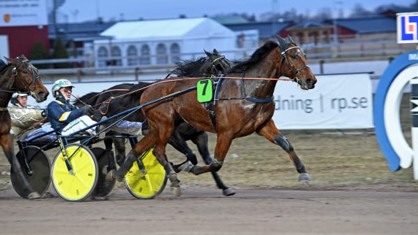 Foto: MALIN ALBINSSON / TR BILD