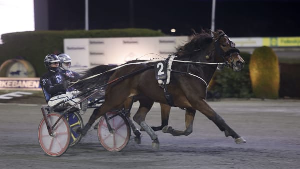 Foto: ROGER SVALSRÖD