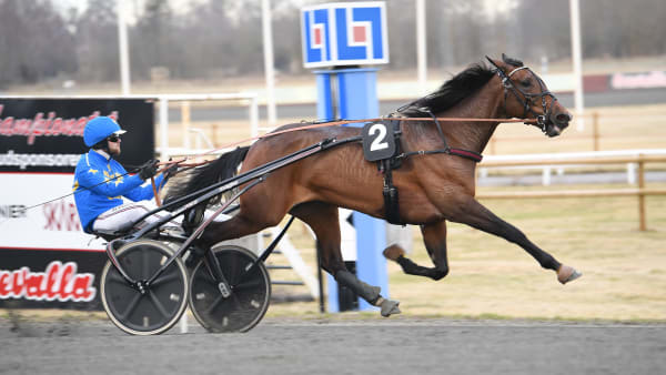 Foto: MALIN ALBINSSON / TR BILD