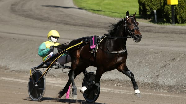 Foto: MATILDA ÖHRMAN / TR BILD