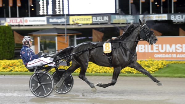 Foto: LARS JAKOBSSON / TR BILD