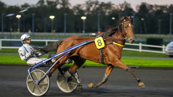 Foto: THOMAS BLOMQVIST / TR BILD