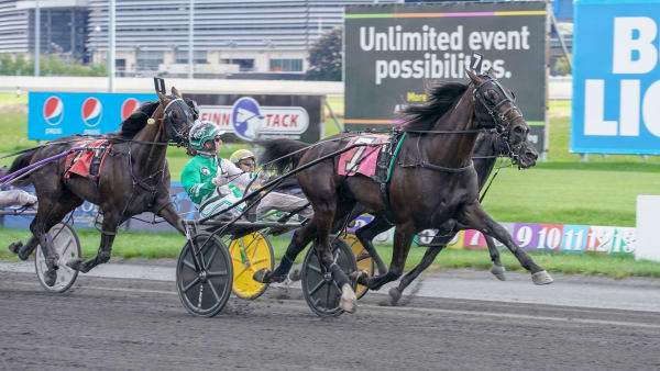 Foto: THOMAS BLOMQVIST / TR BILD