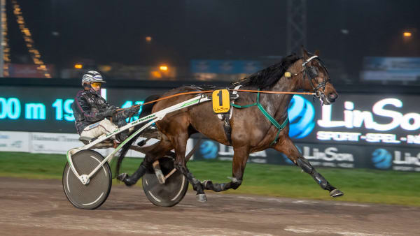 Foto: MIKAEL ROSENQUIST / TR BILD