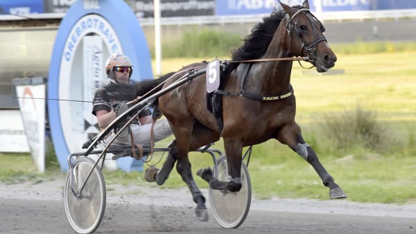 Foto: LARS JAKOBSSON / TR BILD