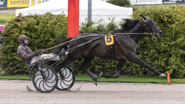 Foto: LENA EMMOTH / TR BILD