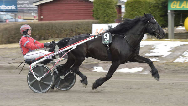 Foto: LARS JAKOBSSON / TR BILD