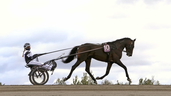 Foto: MARIA HOLMÉN / TR BILD