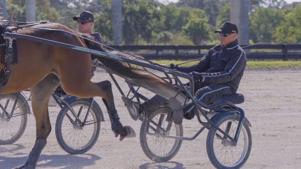 Foto: JOHAN LINDBERG/TR BILD