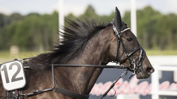 Foto: LENA EMMOTH / TR BILD