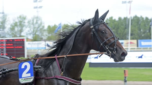 Foto: LARS JAKOBSSON / TR BILD