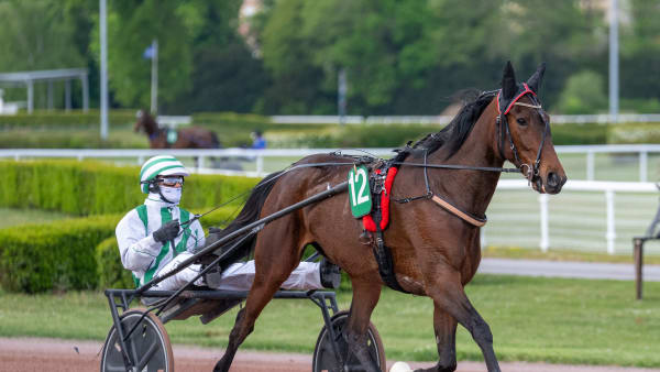 Foto: THOMAS BLOMQVIST / TR BILD