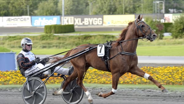 Foto: LARS JAKOBSSON / TR BILD