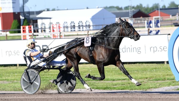 Foto: MALIN ALBINSSON / TR BILD