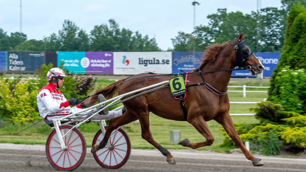 Foto: MIKAEL ROSENQUIST / TR BILD