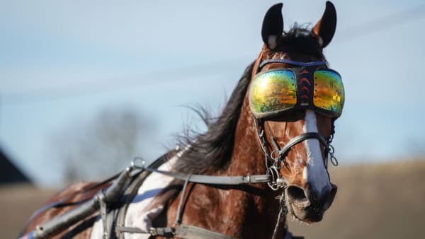 Foto: Pierre Scostabadie/Scoopdyga.com