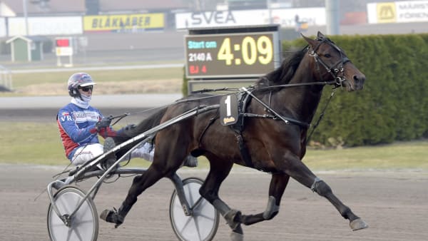 Foto: LARS JAKOBSSON / TR BILD