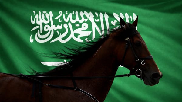 Foto: TR BILD/PIXABAY