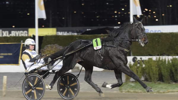 Foto: LARS JAKOBSSON / TR BILD