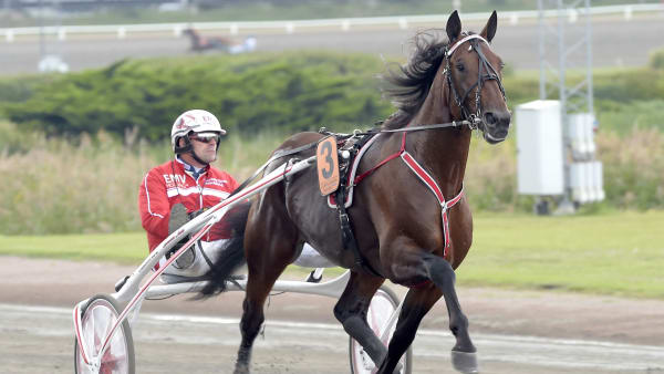 Foto: LARS JAKOBSSON / TR BILD