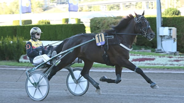 Foto: LARS JAKOBSSON / TR BILD