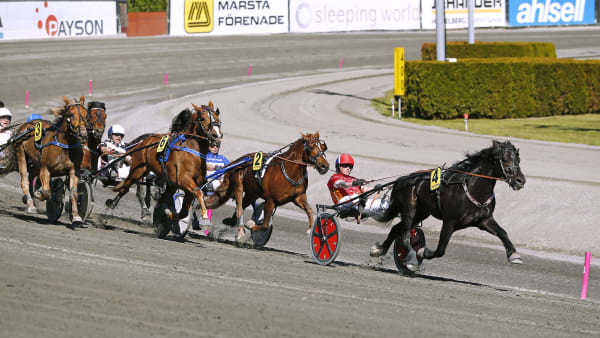 Foto: MARIA HOLMÉN / TR BILD