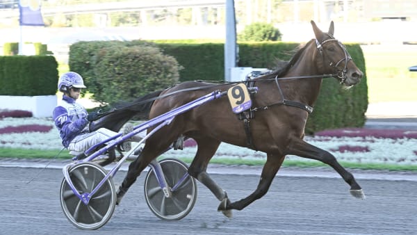 Foto: LARS JAKOBSSON / TR BILD