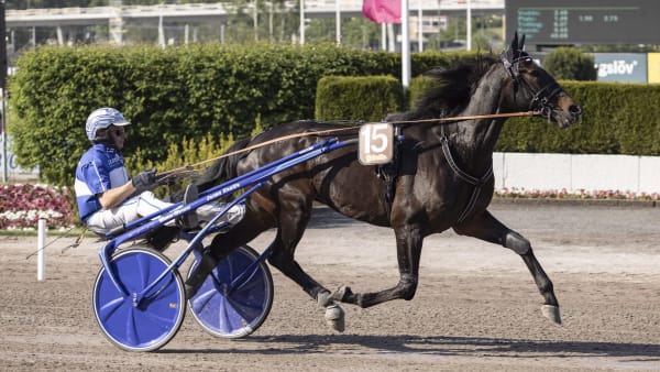 Foto: LENA EMMOTH / TR BILD