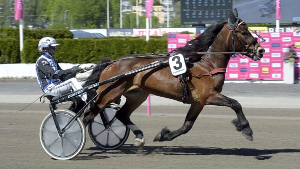 Foto: LARS JAKOBSSON / TR BILD