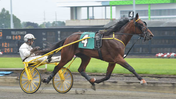 Foto: LARS JAKOBSSON / TR BILD