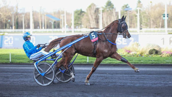 Foto: Bruno Van de Velde/LeTrot