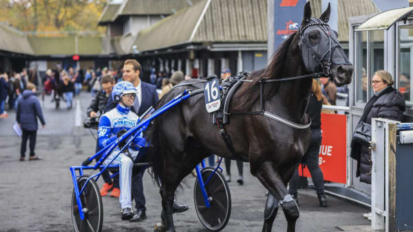 Foto: BRUNO VANDEVELDE/LE TROT