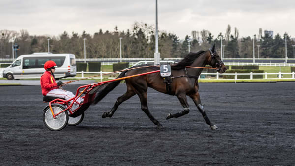 Foto: BRUNO VANDEVELDE/LE TROT