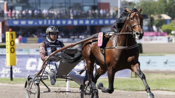 Foto: LENA EMMOTH / TR BILD