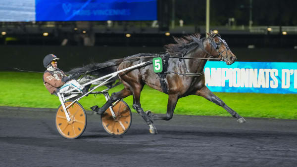 Foto: Thomas Blomqvist/TR Bild