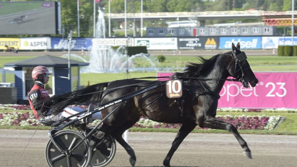 Foto: LARS JAKOBSSON / TR BILD