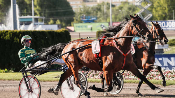 Foto: LENA EMMOTH / TR BILD