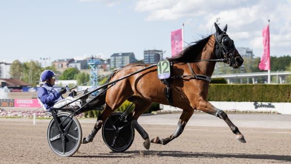 Foto: LENA EMMOTH / TR BILD